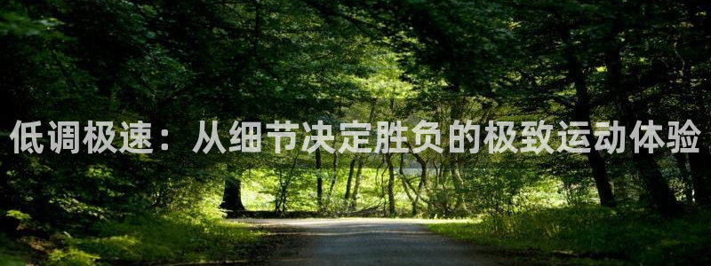 低调极速：从细节决定胜负的极致运动体验
