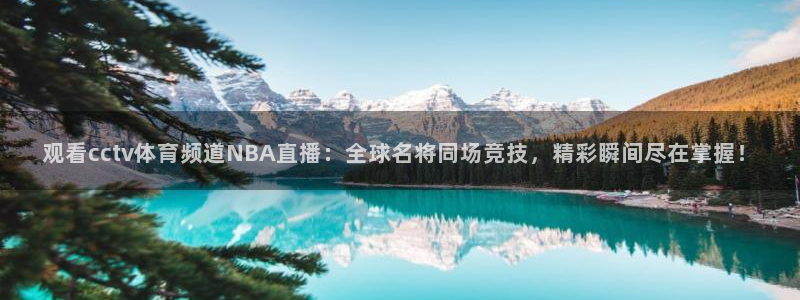 观看cctv体育频道NBA直播：全球名将同场竞技，精彩瞬间尽在掌握！