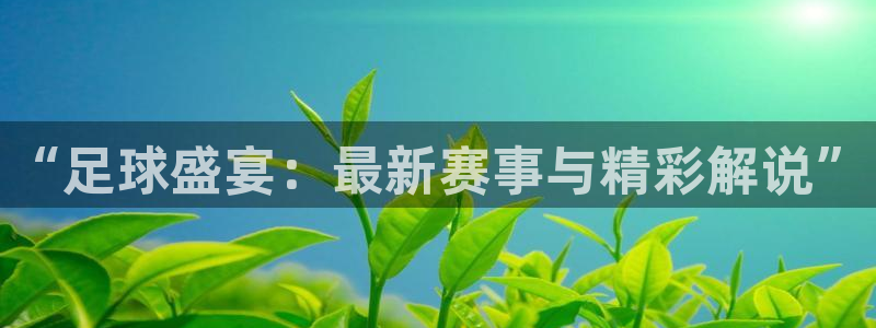 “足球盛宴：最新赛事与精彩解说”