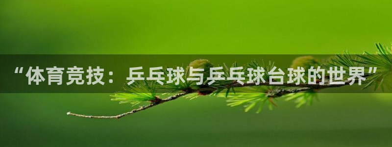 “体育竞技：乒乓球与乒乓球台球的世界”