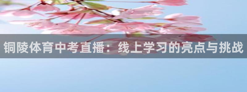 铜陵体育中考直播：线上学习的亮点与挑战