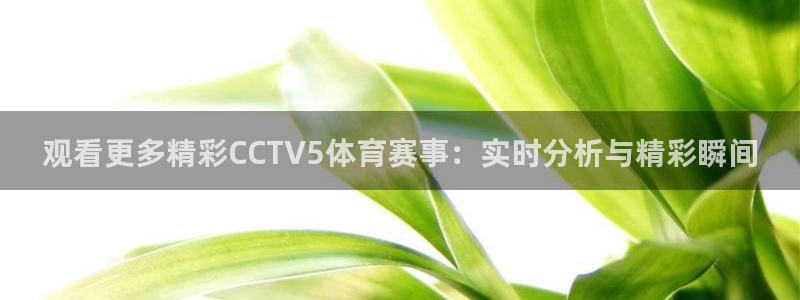 观看更多精彩CCTV5体育赛事：实时分析与精彩瞬间