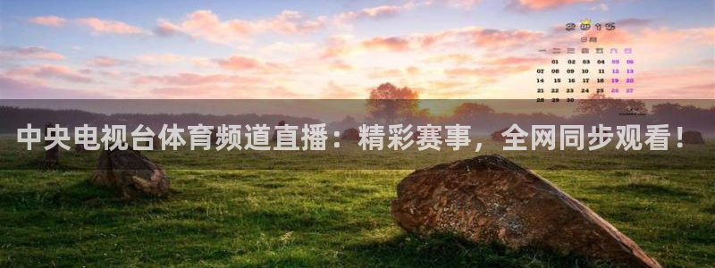 中央电视台体育频道直播：精彩赛事，全网同步观看！