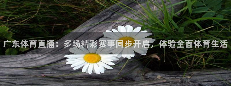 广东体育直播：多场精彩赛事同步开启，体验全面体育生活