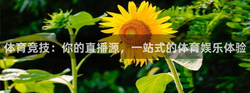 体育竞技：你的直播源，一站式的体育娱乐体验