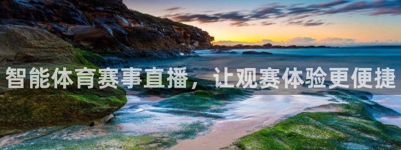 智能体育赛事直播，让观赛体验更便捷