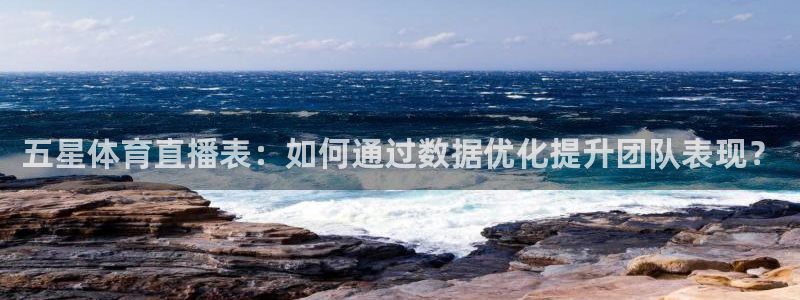 五星体育直播表：如何通过数据优化提升团队表现？