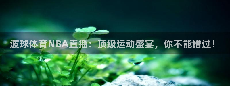 波球体育NBA直播：顶级运动盛宴，你不能错过！