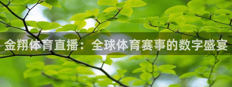 金翔体育直播：全球体育赛事的数字盛宴