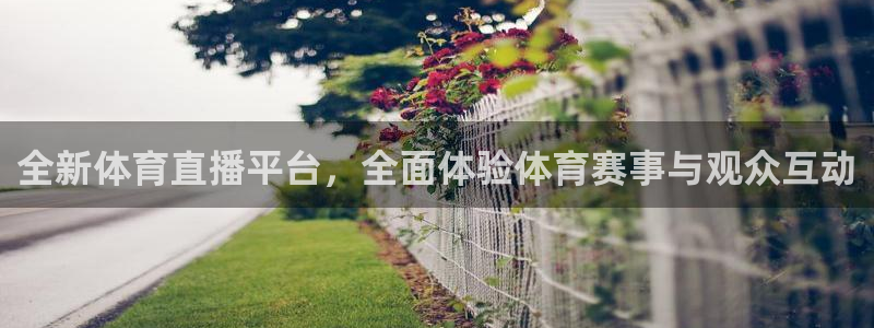 全新体育直播平台，全面体验体育赛事与观众互动