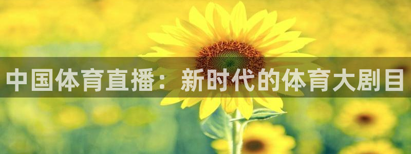 中国体育直播：新时代的体育大剧目