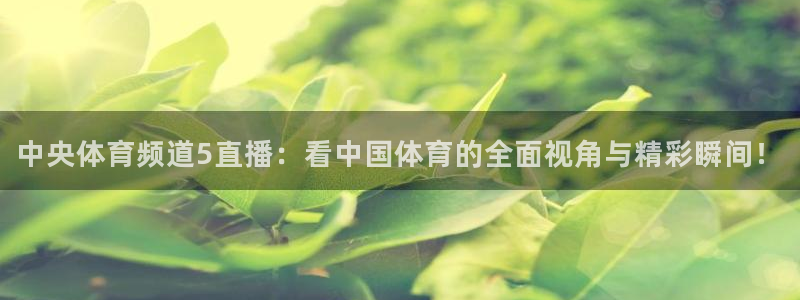 中央体育频道5直播：看中国体育的全面视角与精彩瞬间！