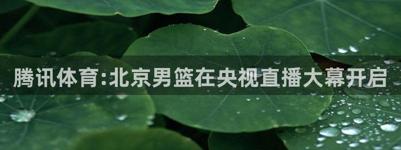 腾讯体育:北京男篮在央视直播大幕开启