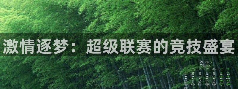 激情逐梦：超级联赛的竞技盛宴