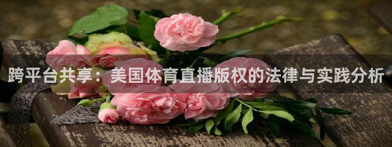 跨平台共享：美国体育直播版权的法律与实践分析