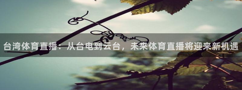 台湾体育直播：从台电到云台，未来体育直播将迎来新机遇