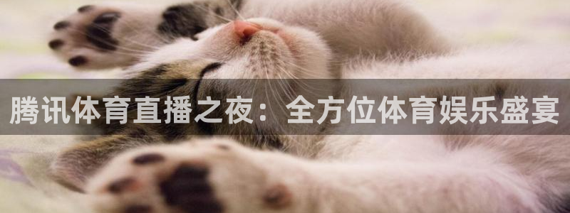 腾讯体育直播之夜：全方位体育娱乐盛宴