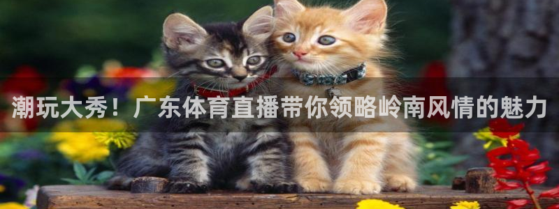 潮玩大秀！广东体育直播带你领略岭南风情的魅力