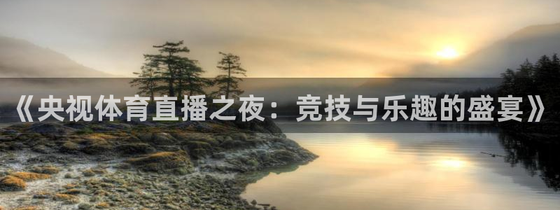 《央视体育直播之夜：竞技与乐趣的盛宴》