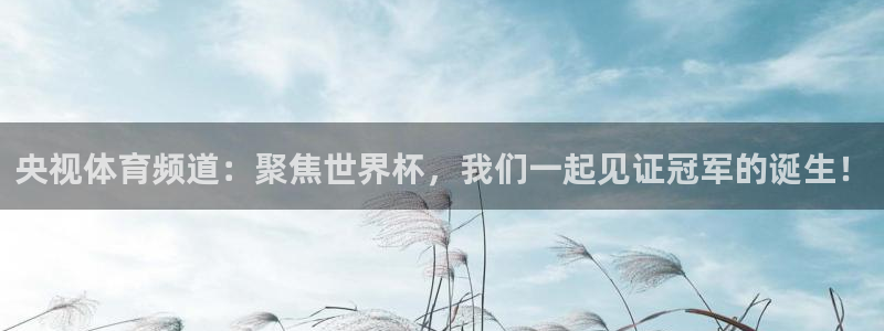 央视体育频道：聚焦世界杯，我们一起见证冠军的诞生！