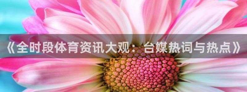 《全时段体育资讯大观：台媒热词与热点》