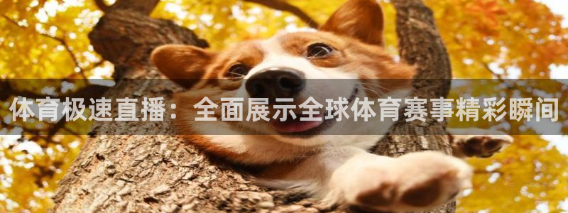 体育极速直播：全面展示全球体育赛事精彩瞬间