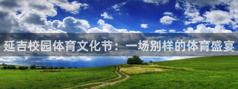 延吉校园体育文化节：一场别样的体育盛宴