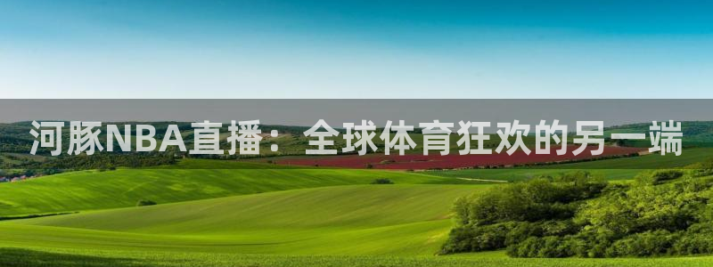 河豚NBA直播：全球体育狂欢的另一端