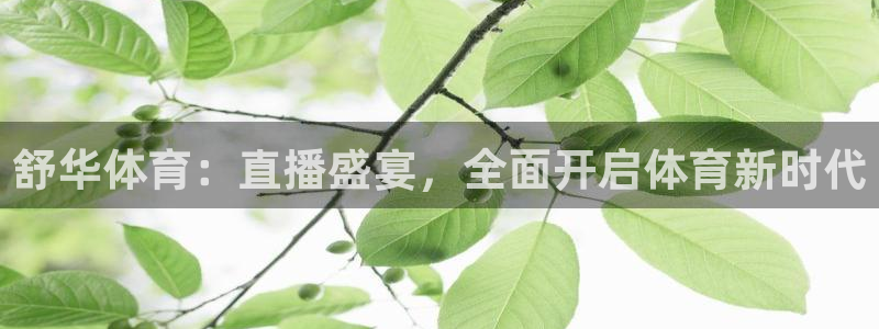 舒华体育：直播盛宴，全面开启体育新时代