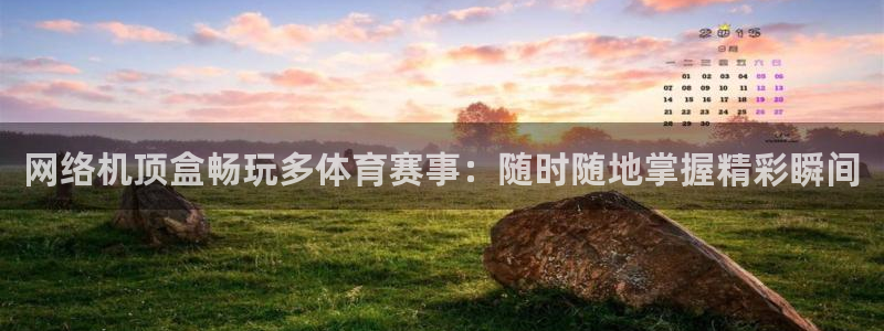 网络机顶盒畅玩多体育赛事：随时随地掌握精彩瞬间