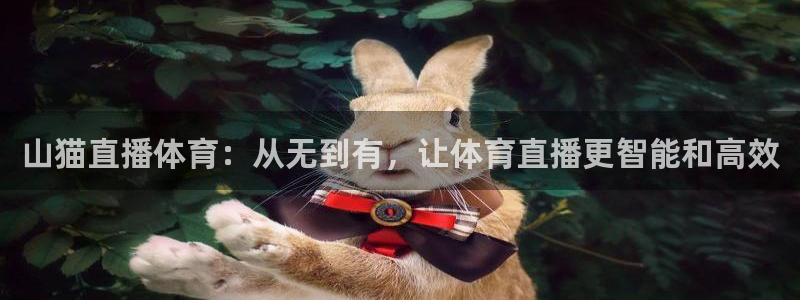 山猫直播体育：从无到有，让体育直播更智能和高效