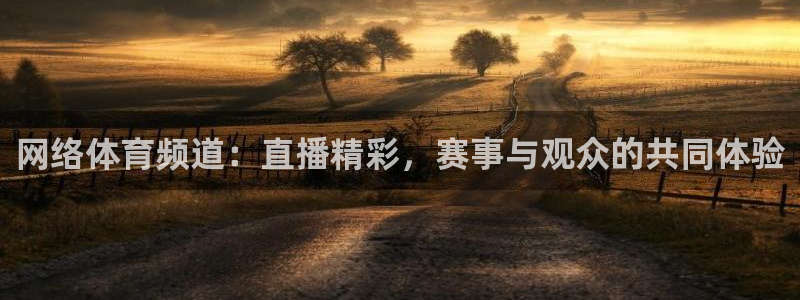 网络体育频道：直播精彩，赛事与观众的共同体验