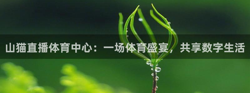 山猫直播体育中心：一场体育盛宴，共享数字生活