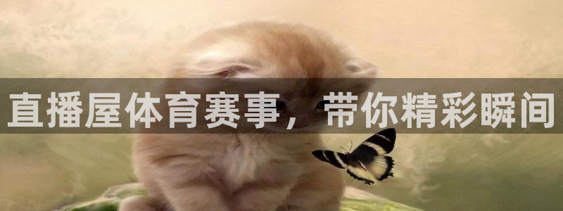 直播屋体育赛事，带你精彩瞬间