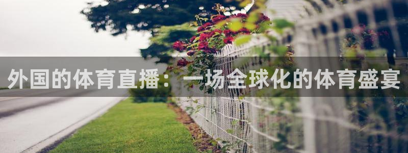 外国的体育直播：一场全球化的体育盛宴