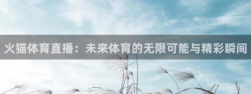 火猫体育直播：未来体育的无限可能与精彩瞬间