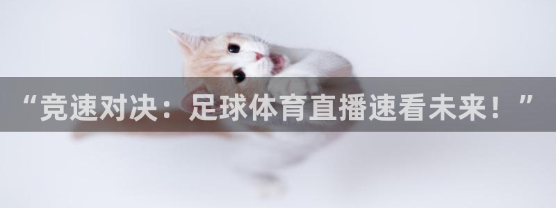 “竞速对决：足球体育直播速看未来！”