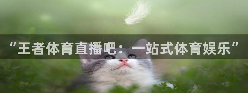 “王者体育直播吧：一站式体育娱乐”